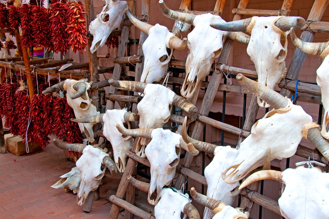 Skulls and ristras at a market just off of the square in Santa Fe, N.M. Photo by Richard Banker.
