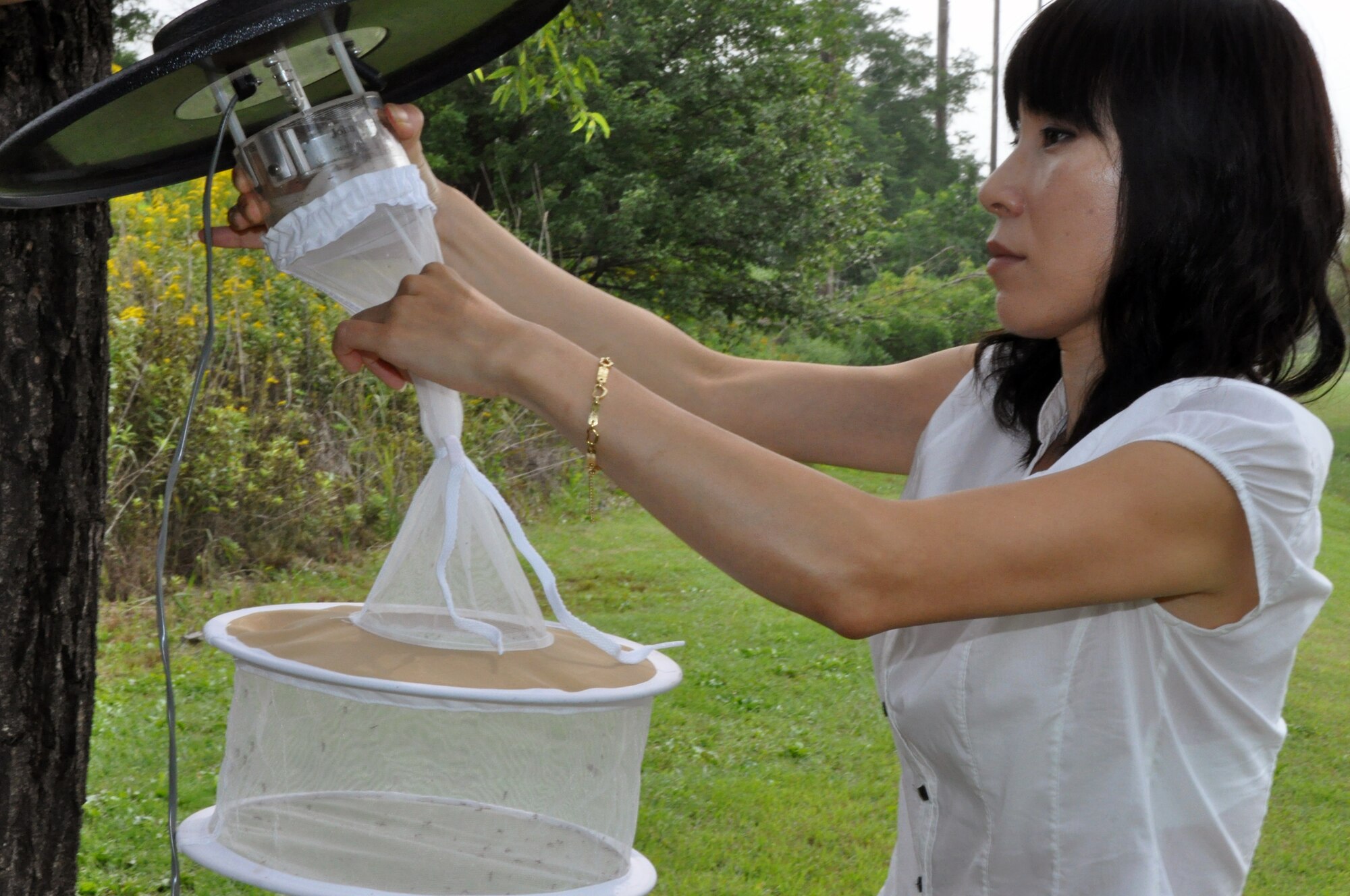 Hyon Chu So, 51st Aerospace Medicine Squadron Public Health technician, removes a mosquito trap at Osan Air Base, Republic of Korea, July 12, 2012. Public health uses the traps to track over population of mosquitoes at Osan. Once caught the mosquitoes are sorted and sent to an entomologist for disease analyzes. (U.S. Air Force photo/Senior Airman Michael Battles)