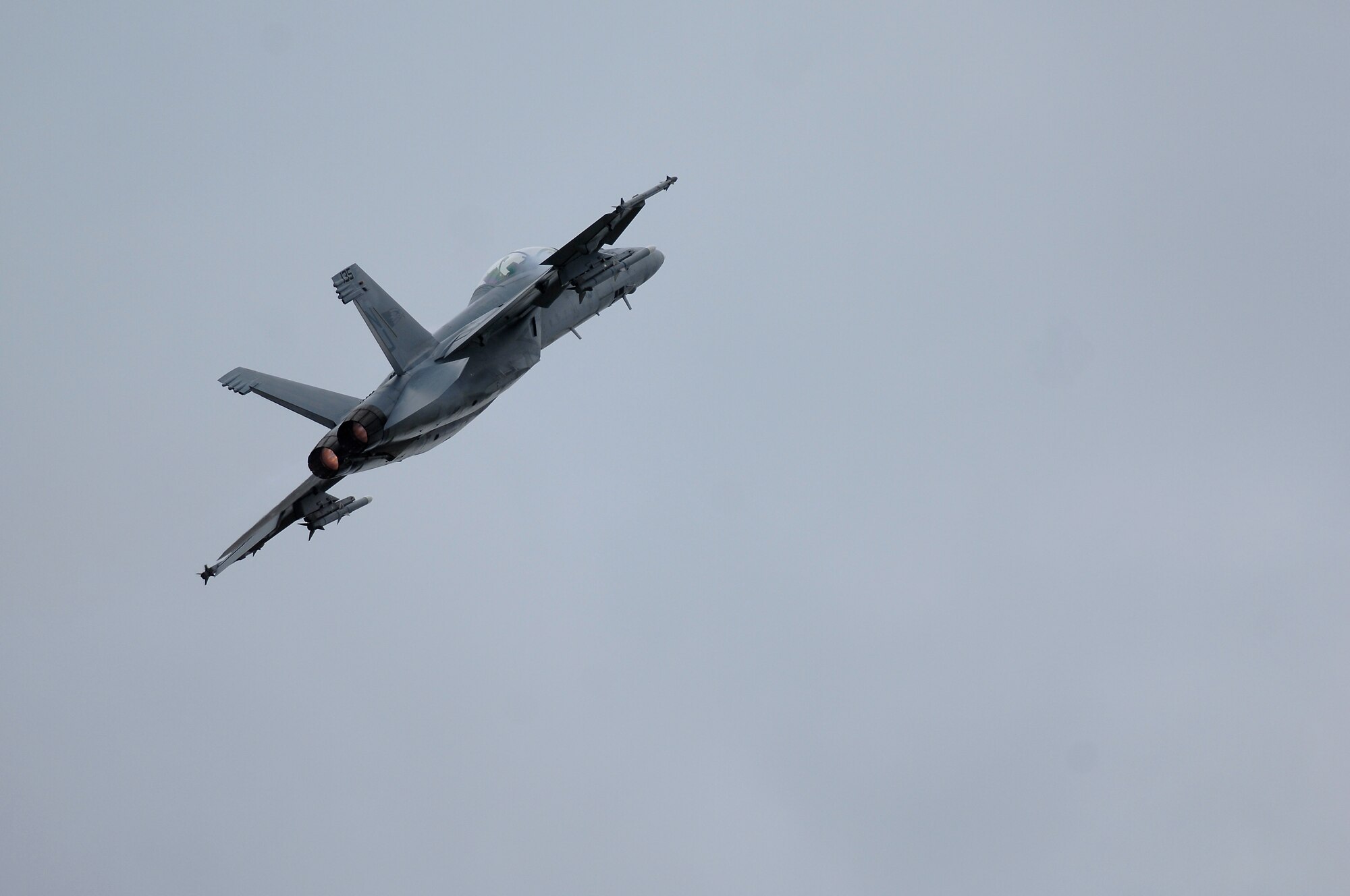 A U.S. Navy F/A-18F Super Hornet flies above thousands of spectators, July 15, 2012, during the Farnborough International Air Show in Farnborough, England. Approximately 90 aircrew and support personnel from bases in Europe and the United States are participating in the air show. More than 250,000 trade and public visitors attend the bi-annual event which concluded today.