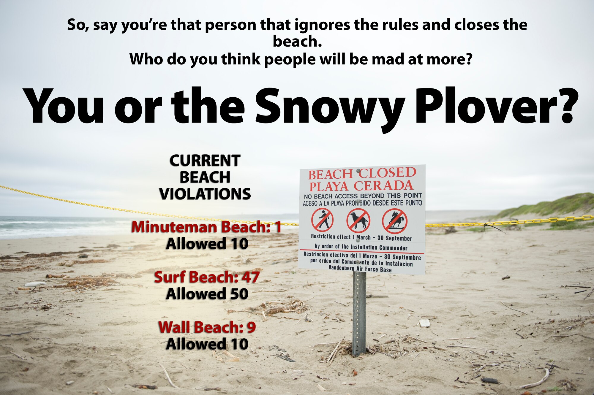 Western Snowy Plover violations on Vandenberg beaches. Current as of July 17, 2012. (U.S. Air Force graphic/Jan Kays)