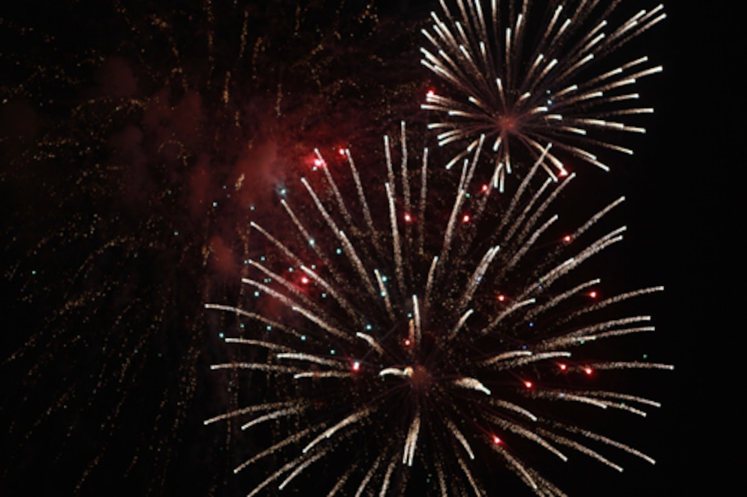 Camp Lejeune Fireworks 2024 Lynne Rosalie