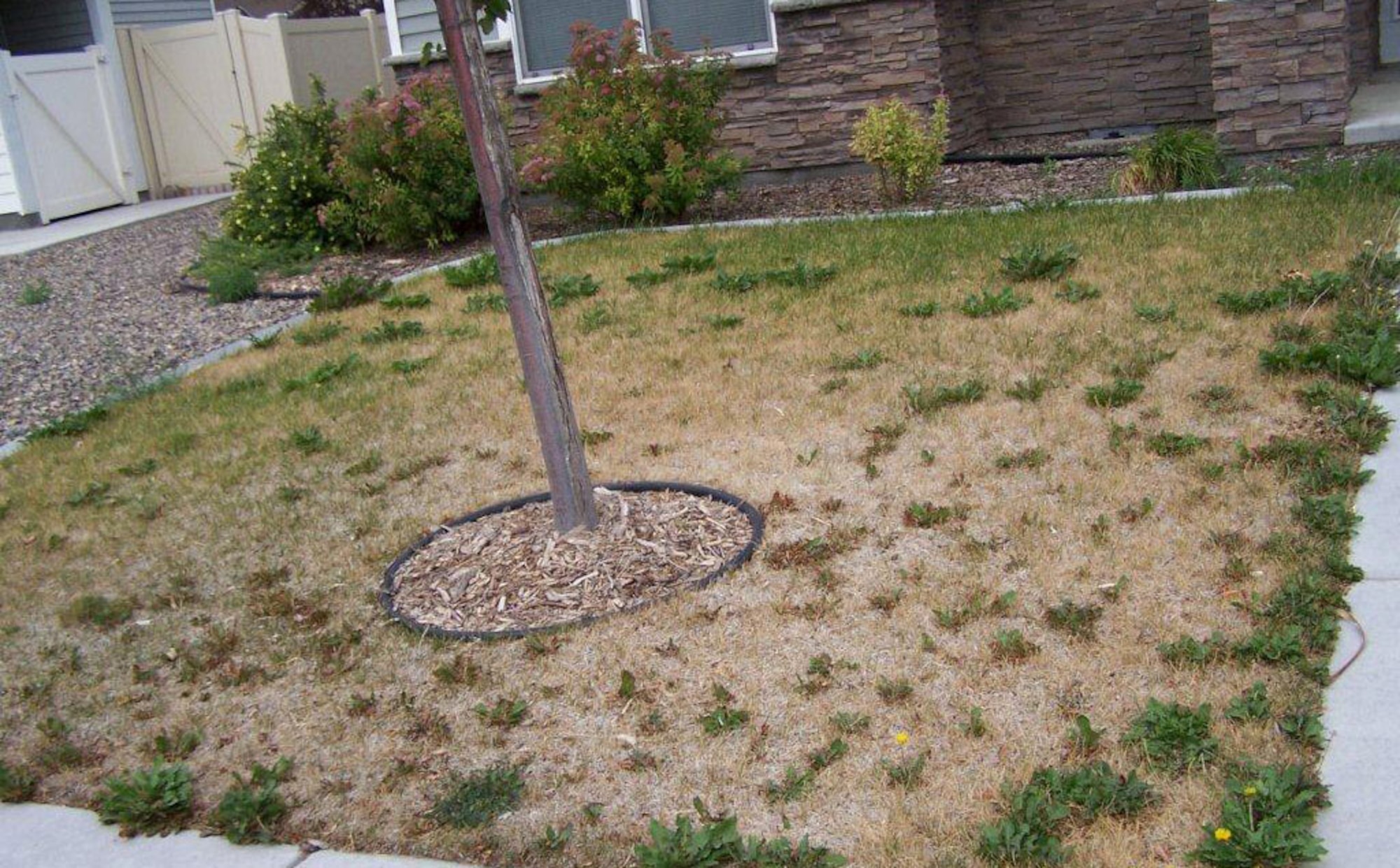 Due to a recent delay in housing privatization, the base housing office is seeing an alarming trend in unkempt yards.  Believing the civilian organization, Belfour Beatty Communities, will take over lawn-care sooner rather than later, many residents have neglected their sod responsibilities. (Courtesy photo)