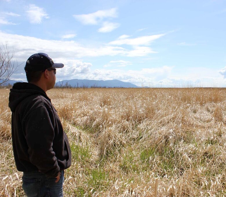 WASHINGTON — Federal agencies worked together with the Lummi Nation to establish the first federally authorized Native American sponsored commercial wetland and habitat mitigation bank in the nation. In this photo, Frank Lawrence III, Lummi Nation, looks over the reed canary grass treatment area.