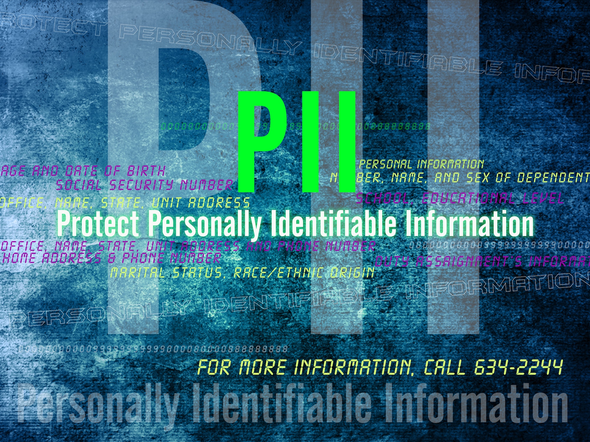 PII is unique information about an individual not releasable to the public without the written consent of the individual. Examples include social security number, date of birth, age, marital status, race and medical or financial information. (Air Force art/Naoko Shimoji)