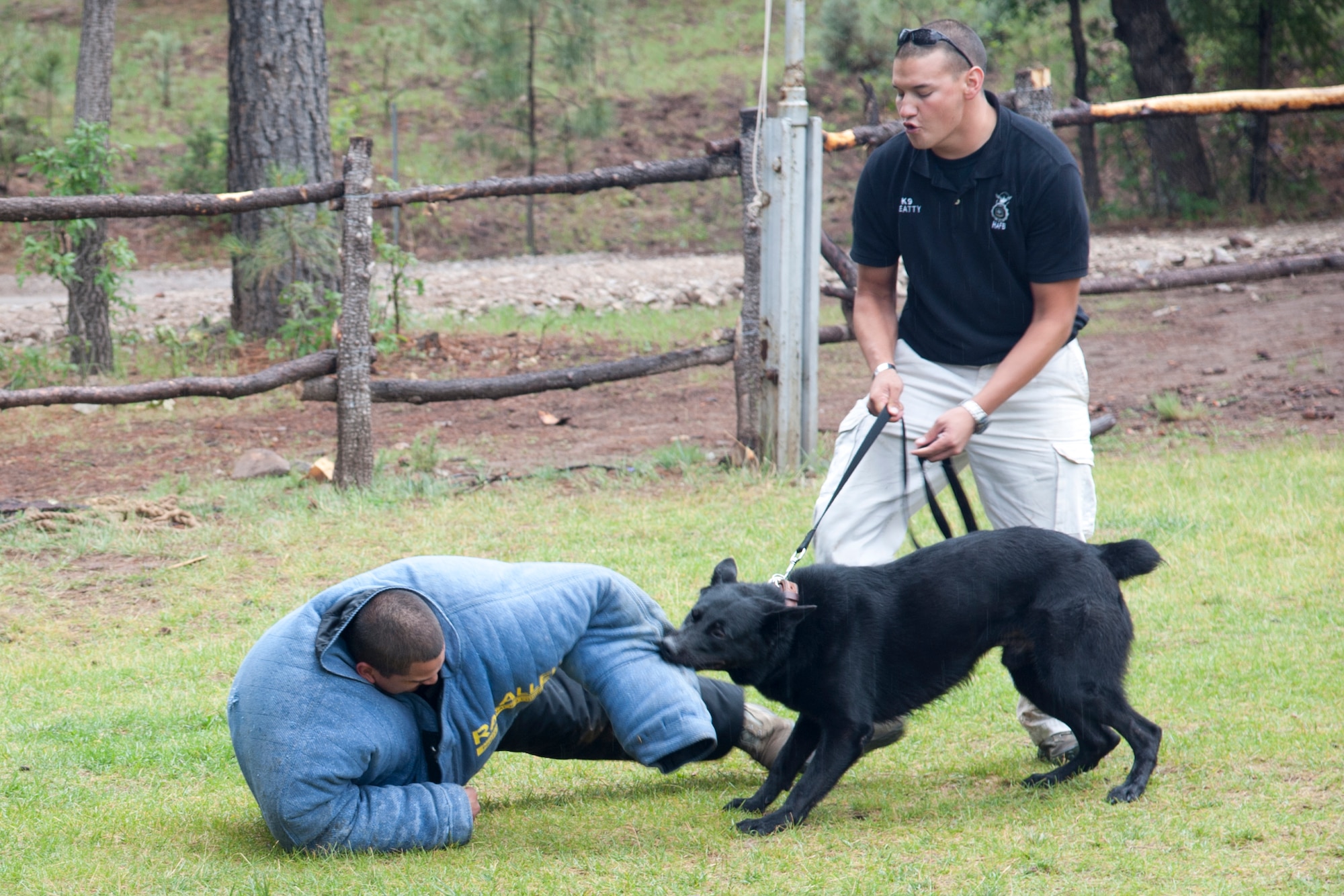 Members of the 49th Security Forces Squadron Military Working Dogs Section give a demonstration of the military working dog’s aggressive tactics at the Mayhill, N.M., Camp of the Tall Pines July 17. Members of the 49th SFS demonstrated the military working dogs’ capabilities to participants in the Candlelighters for Children with Cancer program as a way of boosting the children’s morale and giving back to the community.  (U.S. Air Force Photo by Airman 1st Class Anthony M. Ward/Released)