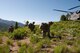 Members of the 124th Air Support Operations Squadron (ASOS) of the Idaho Air National Guard flee from a CH-47 Chinook Helicopter to participate in intensive outdoor training during exercise Mountain Fury II throughout the Idaho Sawtooth National Forest, June 25. Members of ASOS perform small unit tactics, mounted patrol with HMWVVs, Close Air Support missions, and over watch with the help of the 190th Fighter Squadron’s A-10 Aircraft and B Company, 1-214th General Support Aviation Battalion (GSAB) CH-47 Chinook Helicopters, Idaho Army National Guard Apache Helicopters and 728th Air Control Squadron, Mt. Home, June 19 through June 27.
