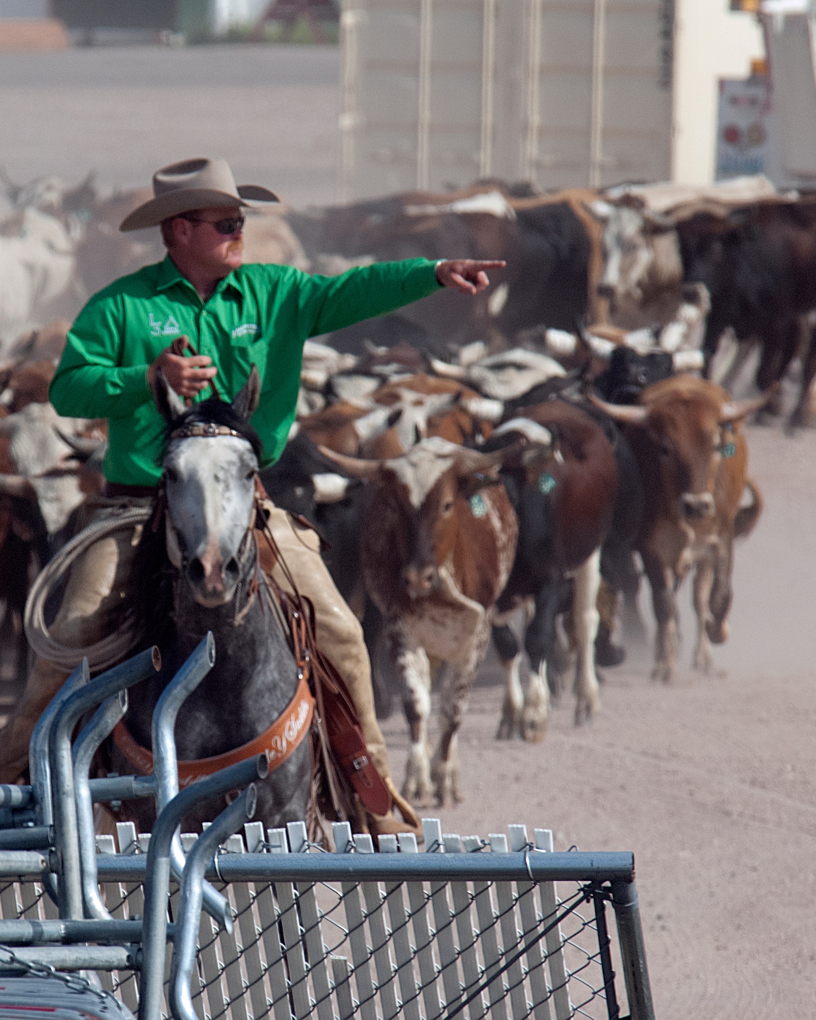 Frank Thompson, arena director, gives directions as approximately 450 head of cattle arrive at Frontier Park in Cheyenne, Wyo., July 15. The annual cattle drive marks the traditional start of Cheyenne Frontier Days, which features one of the largest rodeos in the United States. (U.S. Air Force photo by R.J. Oriez)