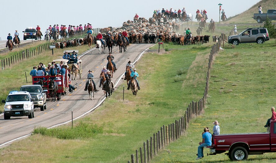 Cowboys, cattle and dignitaries head down Hinds Boulevard, north of Cheyenne, Wyo., July 15. The drive of approximately 450 head of cattle marks the traditional beginning of Cheyenne Frontier Days. (U.S. Air Force photo by R.J. Oriez)