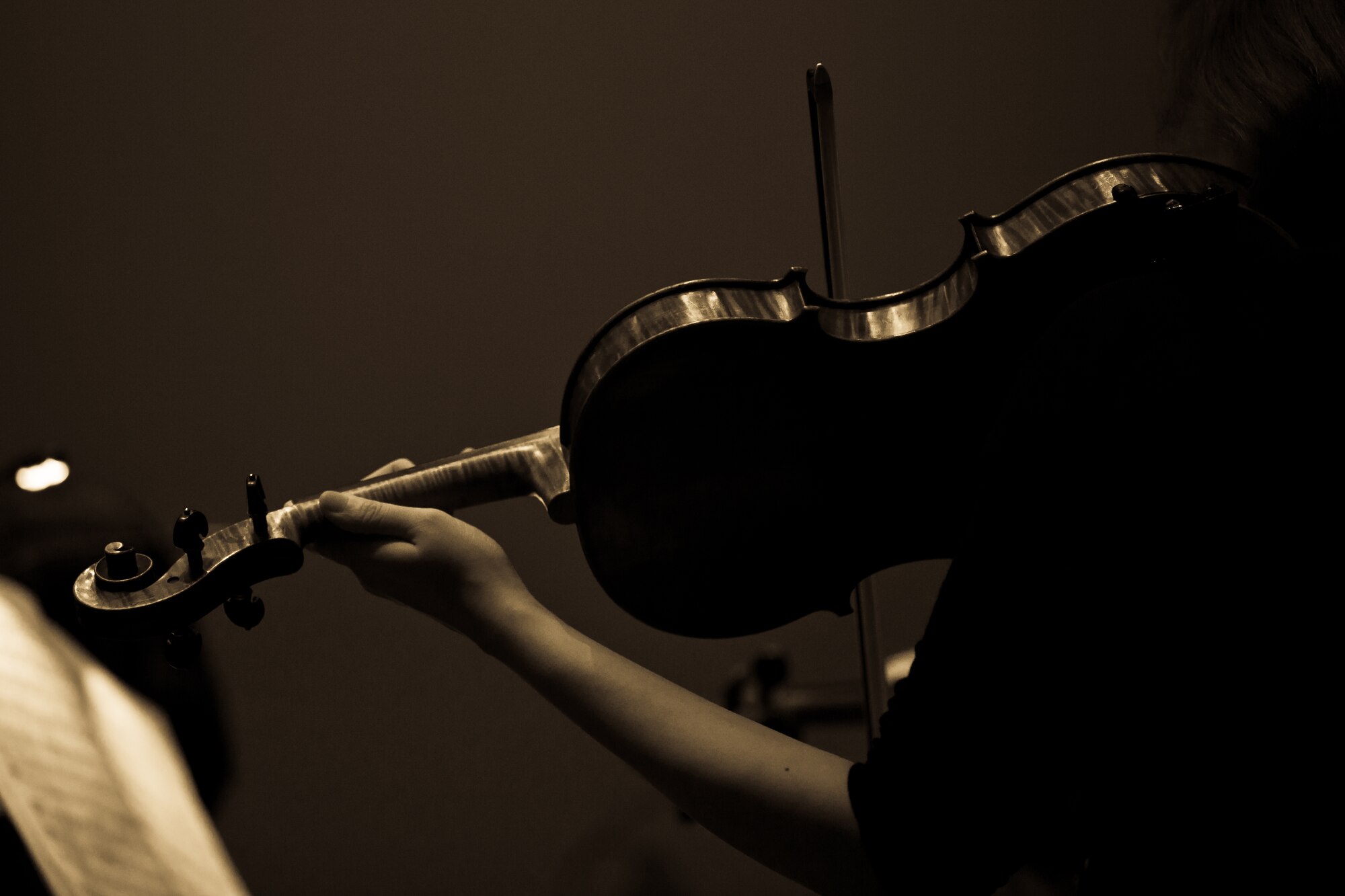 A musician from the Gunsan Philharmonic Orchestra plays a violin during a performance July 20, 2012, in Gunsan City, South Korea. The show gave Airmen from Kunsan Air Base a chance to experience Korean culture.  (U.S. Air Force photo/Tech. Sgt. Kevin Crawford)