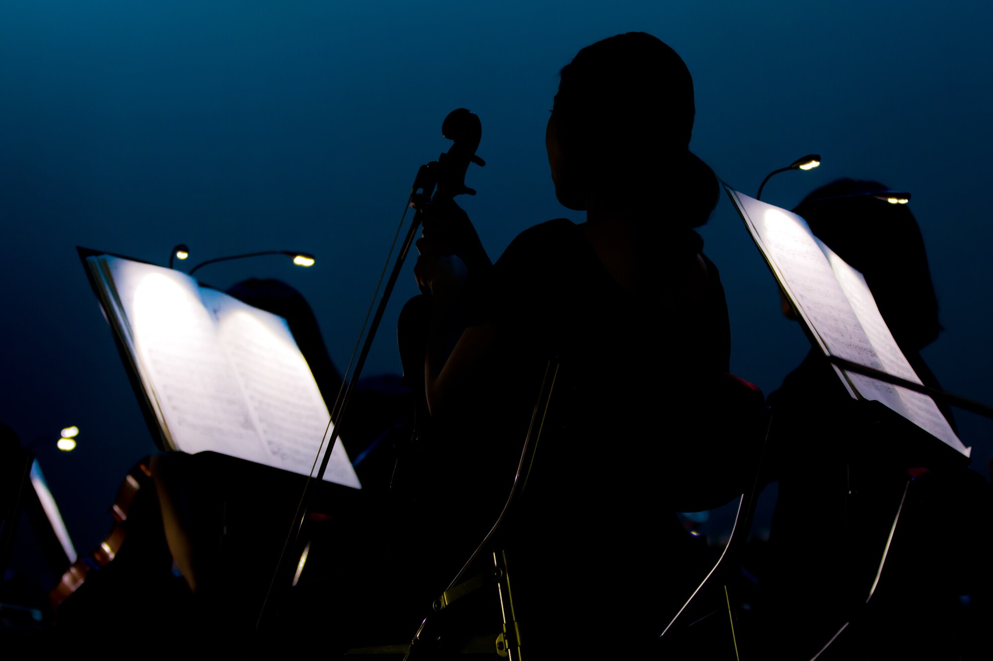 The silhouette of a musician is highlighted during a performance by the Gunsan Philharmonic Orchestra July 20, 2012, in Gunsan City, South Korea. Although spoken language is sometimes a barrier, music provides a common ground for many cultures. (U.S. Air Force photo/Tech. Sgt. Kevin Crawford)