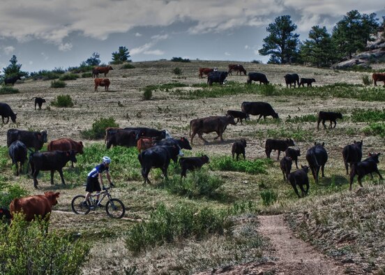 Photos of Senior Airman Dan Gage, 90th Missile Wing Public Affairs, taken at Curt Gowdy State Park, Wyo. For more information on this and other Wyoming state parks visit http://wyoparks.state.wy.us/. To learn more about America's National Parks visit http://www.nps.gov/index.htm.