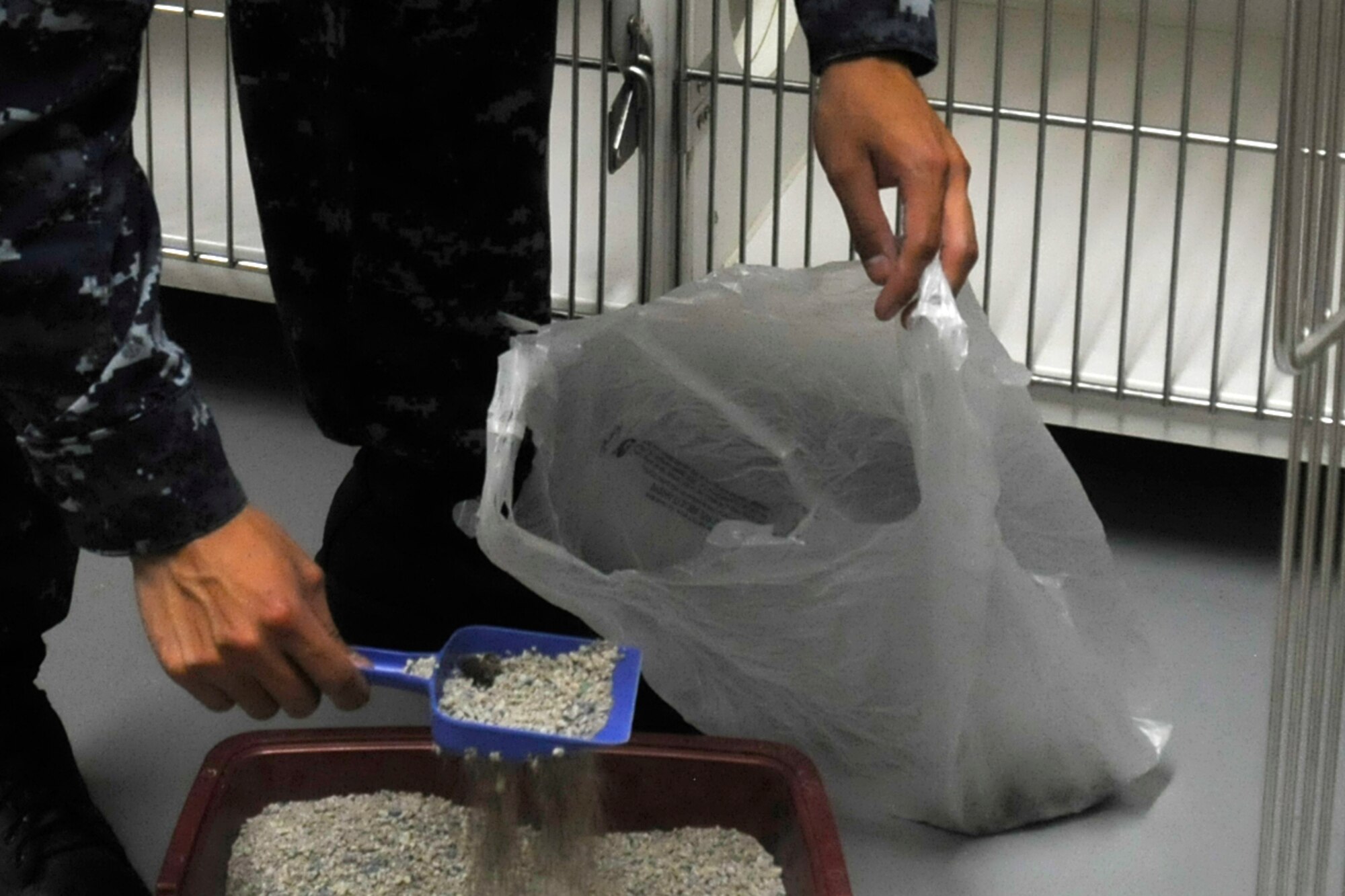 A Pets Are Worth Saving volunteer cleans a cat’s litter box at Misawa Air Base, Japan,  July, 25, 2012. Members of Misawa Air Base are welcome to volunteer at PAWS to help wherever they are needed. Whether it’s mowing the grass outside or just playing with the cats, everyone is encouraged to volunteer. (U.S. Air Force photo by Airman 1st Class Zachary Kee/Released)