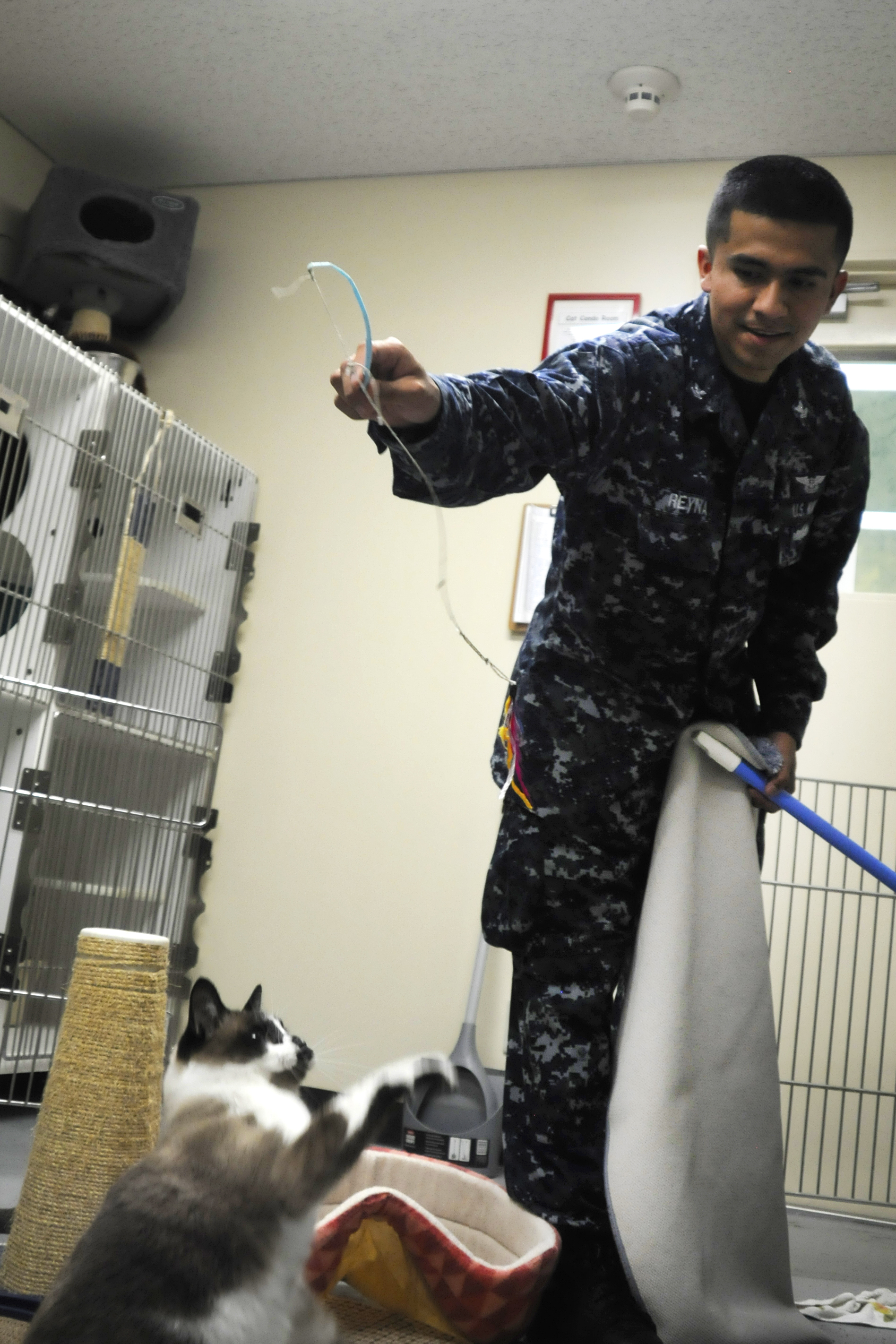 PAWS gives saved pets attention until homes can be found > Misawa Air