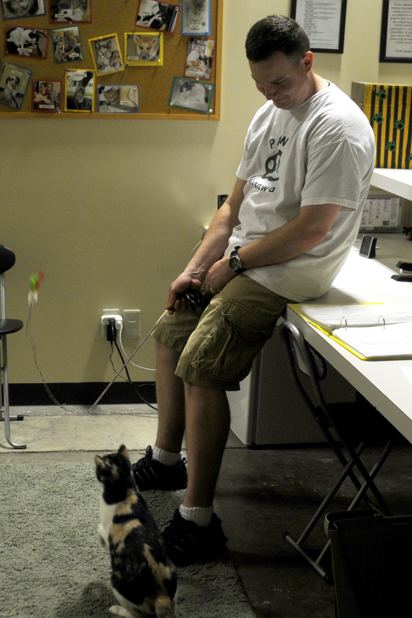 PAWS gives saved pets attention until homes can be found > Misawa Air