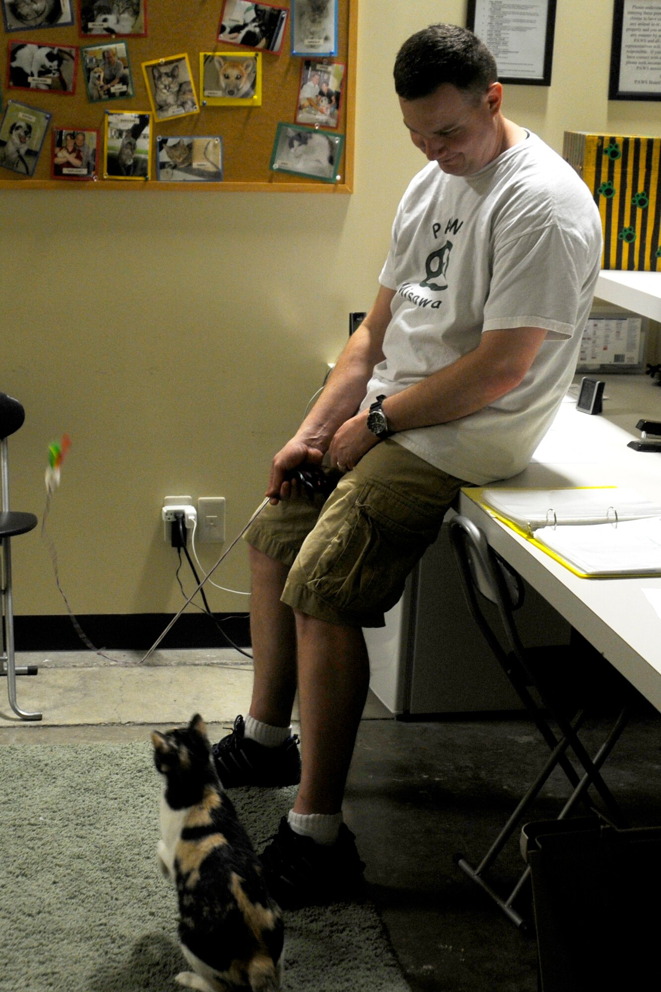 Richard Schultz, Pets Are Worth Saving secretary and volunteer, plays with one of eight cats at Misawa Air Base, Japan, July 25, 2012. PAWS is looking for volunteers to fill leadership roles and responsibilities like president, vice president, and treasurer. Due to many people leaving, these positions will be available soon. (U.S. Air Force photo by Airman 1st Class Zachary Kee/Released)