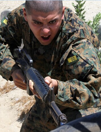 Recruits of Company H, 2nd Recruit Training Battalion, run through a bayonet assault course aboard Marine Corps Recruit Depot San Diego July 24. Sections of the exercise included tire stabbing, getting in and out of a trench and using comands to conduct a combat rush.