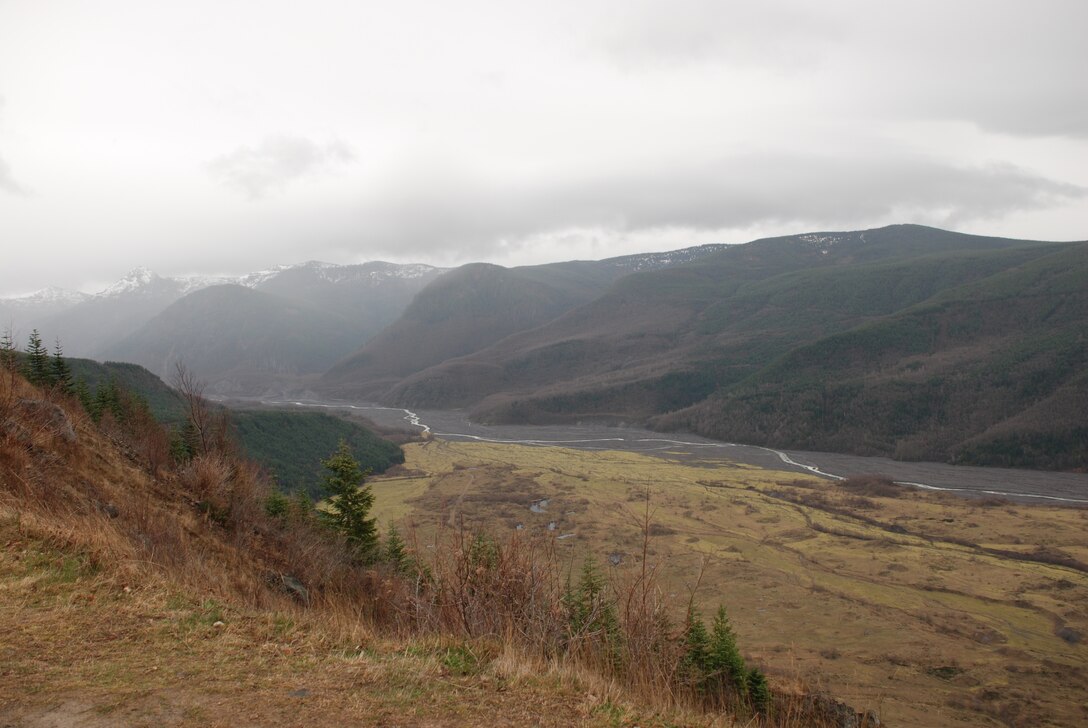 This habitat located on the upper North Fork Toutle River supports elk living near the river at Mount St. Helens, Wash.