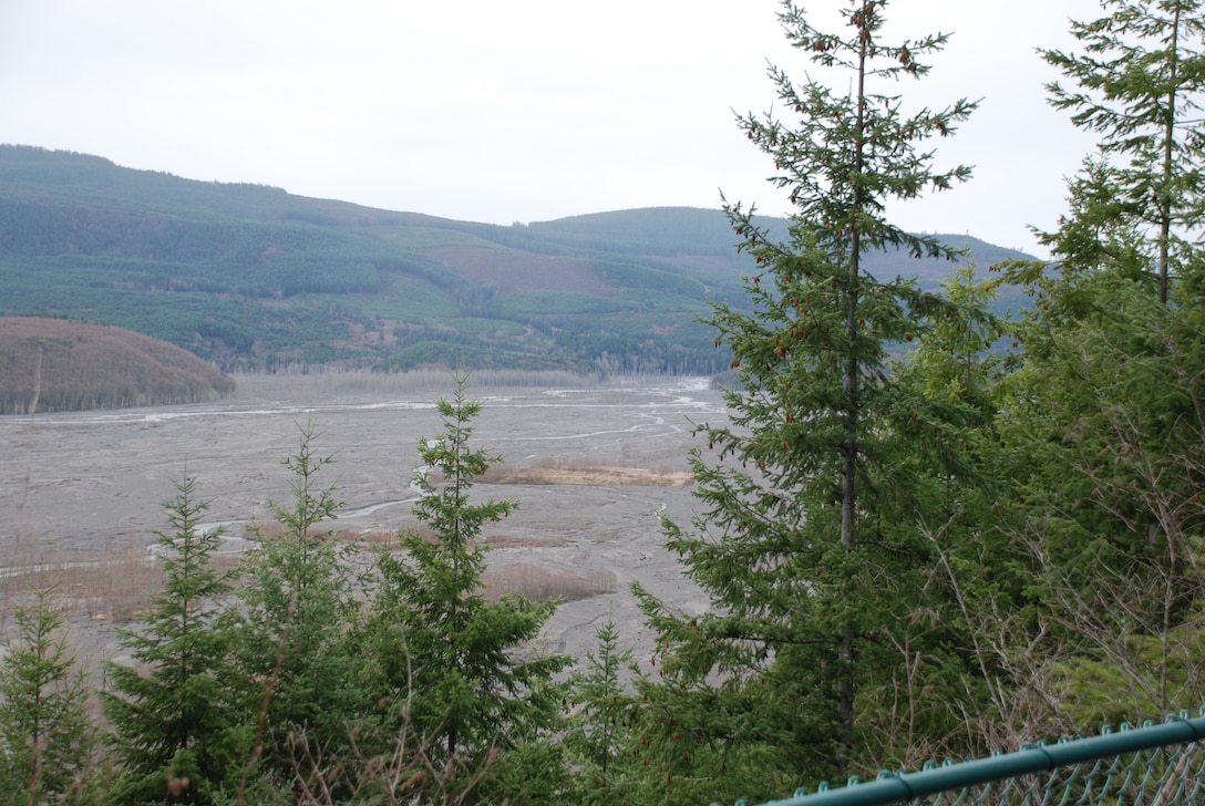 Upstream of the Sediment Retention Stream at Mount St. Helens, Wash., lies a sediment plane through which the North Fork Toutle River flows. Seen from Hoffstadt Bluff.