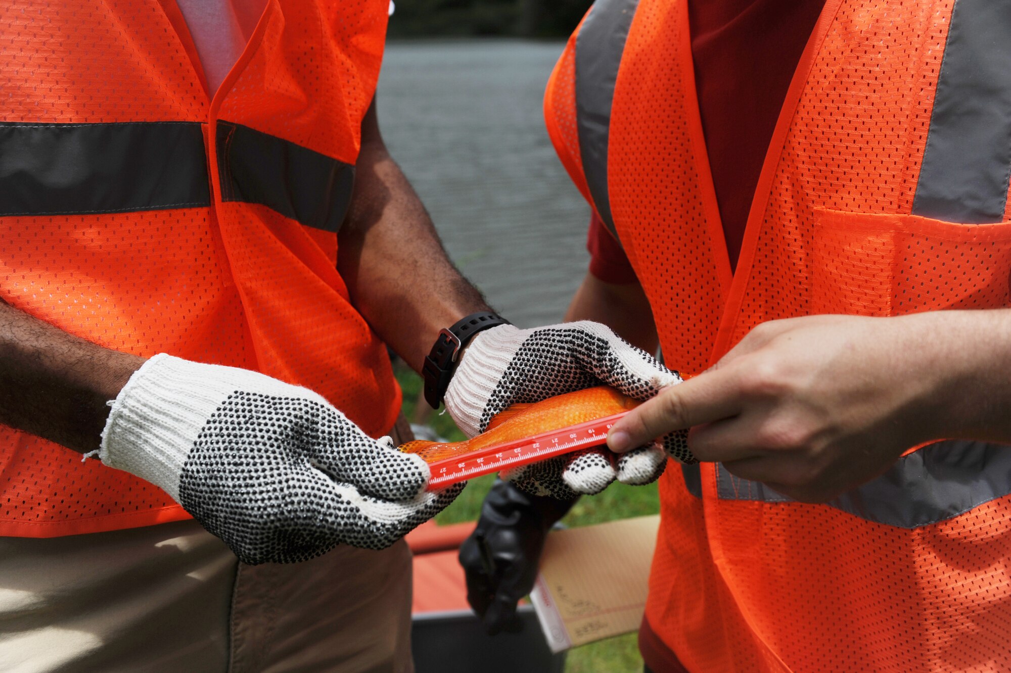 A fishhook is removed from a fish after its capture by a participant in the 2012 Keiki Fishing Tournament May 30 at Ho'omaluhia Botanical Gardens in Kaneohe, Hawaii. The fishing tournament was sponsored by the Friends of Hickam, a group of community leaders who facilitate between the 15th Wing and the Hawaii community seeking to support, promote, and foster stronger community relations with those associated with the 15th Wing. (U.S. Air Force photo by Staff Sgt. Nathan Allen)