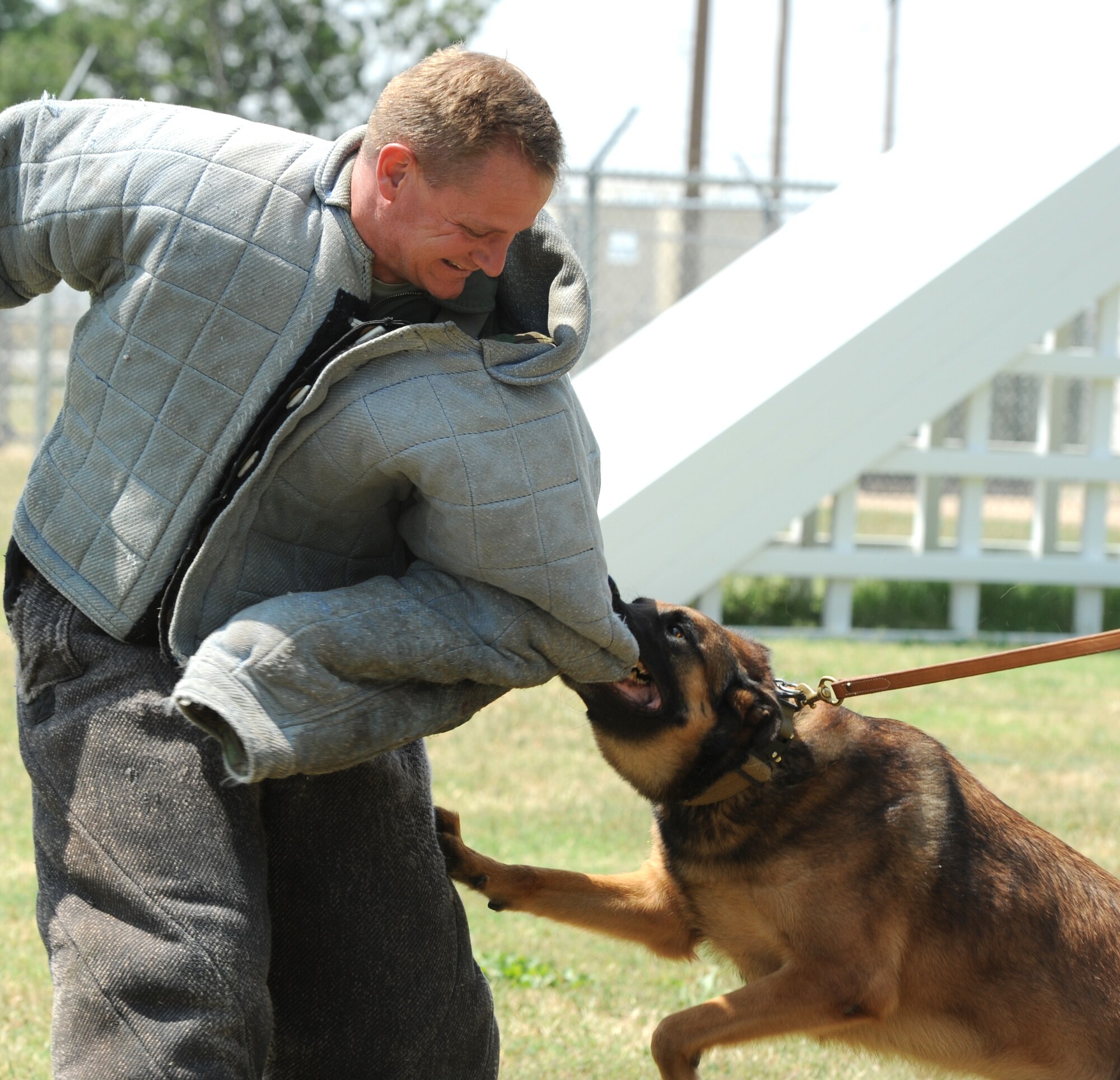 Kay, a 92-pound military working dog with the 71st Security Forces Squadron, takes a bite out of the padded suit worn by Col. Russ Mack, the 71st Flying Training Wing commander, during a dog demonstration May 29 at Vance AFB, Okla. Kay’s partner, Staff Sgt. Heath Conley, is the Wing Warrior of the Week. (U.S. Air Force photo/ Airman 1st Class Frank Casciotta)