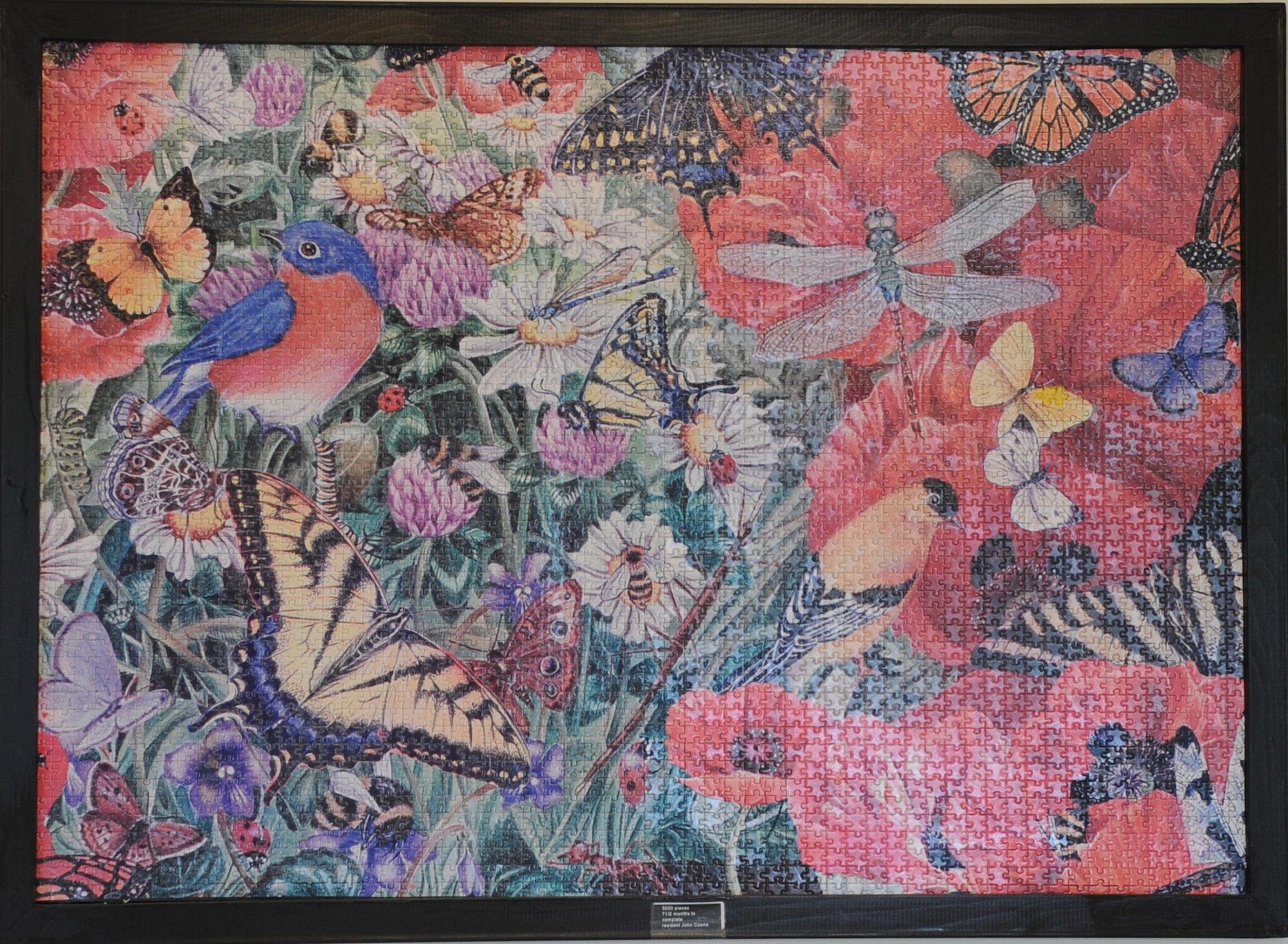 A 3,000-piece jigsaw puzzle adorns the wall of a community center at Hampton, Va., June 6, 2012. The puzzle was put together by John Coons, a World War II veteran, who uses the activity as a means of coping with his post-traumatic stress disorder. (U.S. Air Force photo by Senior Airman Jarad A. Denton/Released)