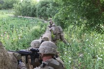 Marines with Charlie Company, 1st Battalion, 8th Marine Regiment, observe a compound within a village before they search it for enemy forces, April 18, 2012. The Marines and sailors with Charlie Co. took part in a month long operation where they cleared the Gostan valley of enemy forces.