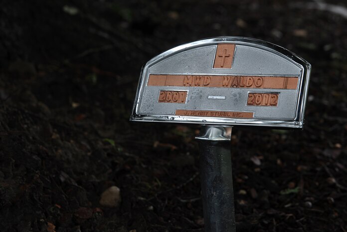 Waldo, a military working dog, was laid to rest at Joint Base Charleston - Air Base, S.C.  June 6, 2012. Waldo was assigned to the 628th Security Forces Squadron and served most of his career here. He was deployed twice to Afghanistan. During his career, Waldo conducted 2,304 hours of searches and completed 425 hours of detection training.  (U.S. Air Force photo/Airman 1st Class Ashlee Galloway) 