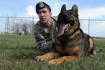 MINOT AIRFORCE BASE, N.D.  - - Tech. Sgt. Mark Jenner,  5th Security Forces Squadron military working dog handler and MWD Kitty, take a break from obedience training. Members of the 5th SFS K-9 unit train and work side-by-side with K-9s as part of their daily duties. (U.S. Air Force photo by Senior Airman Brittany Y. Auld) 