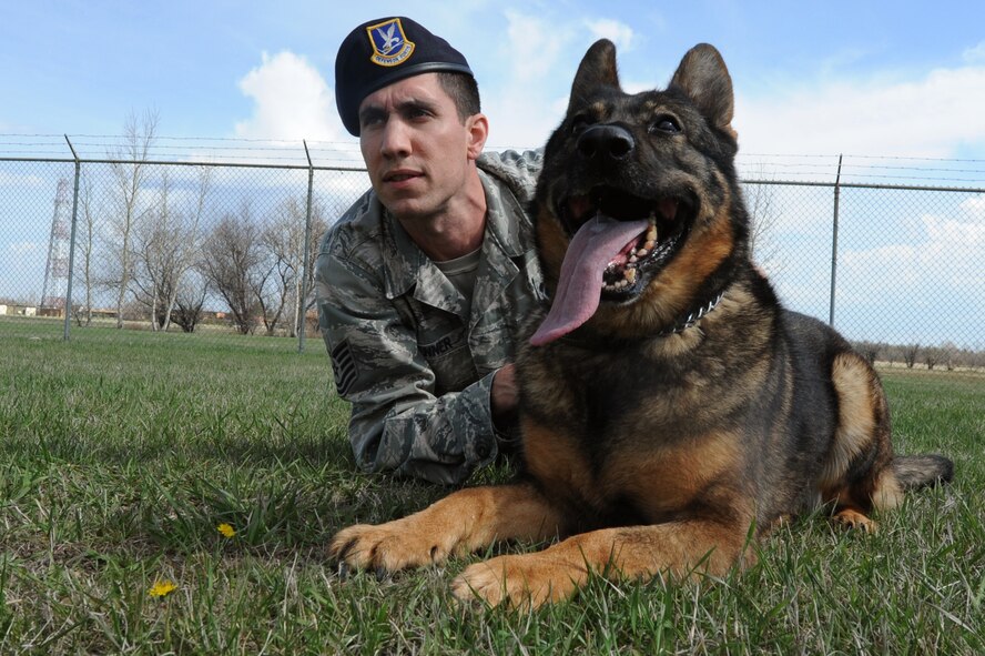 MINOT AIRFORCE BASE, N.D.  - - Tech. Sgt. Mark Jenner,  5th Security Forces Squadron military working dog handler and MWD Kitty, take a break from obedience training. Members of the 5th SFS K-9 unit train and work side-by-side with K-9s as part of their daily duties. (U.S. Air Force photo by Senior Airman Brittany Y. Auld) 