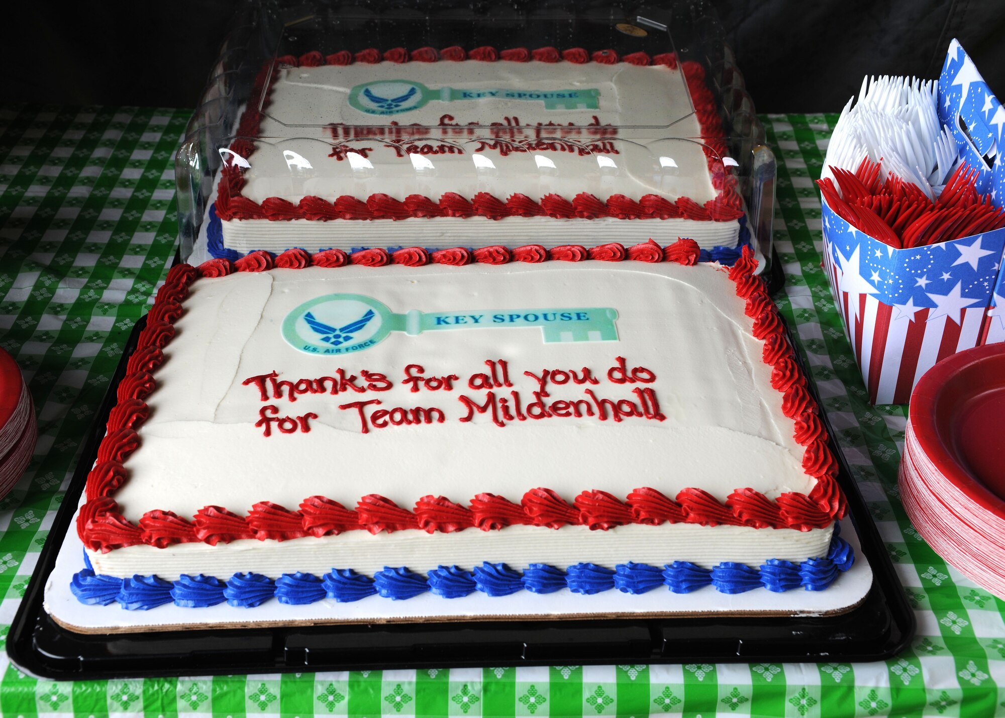 RAF MILDENHALL, England – Two cakes were presented to the key spouses on the third annual Key Spouses Appreciation picnic at Heritage Park here June 1, 2012. Hosted by the Wing Commander, the picnic was held to show appreciation and give thanks to the key spouses for their support of Team Mildenhall. (U.S. Air Force photo/Toni Dineen)