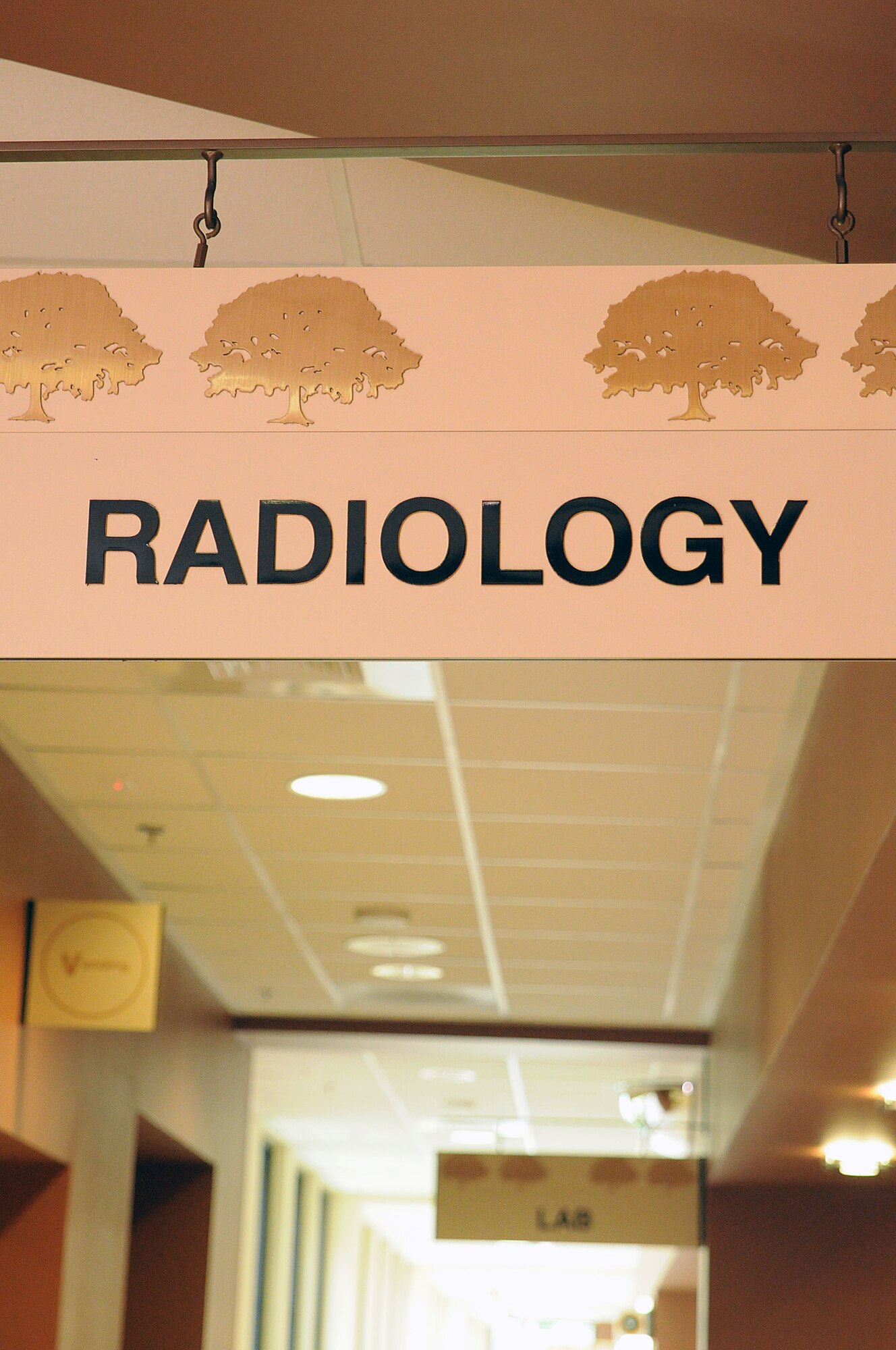 The Radiology Department at Naval Health Clinic Charleston at Joint Base Charleston – Weapons Station serves hundreds of patrons daily. Whether they are active duty, Reserve or retired, Department of Defense employees or military family members, the department’s mission is to help find what cannot be observed by the naked eye and report findings back to the patient’s doctor for further explanation. The department provides x-rays, Magnetic Resonance Imaging, Computerized Tomography Scans, Fluoroscopy and mammogram/ultrasounds. On average, the department will see more than 900 patrons per month. (U.S. Navy photo/Petty Officer 1st Class Jennifer Hudson)
