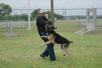 Military Working Dog Goro attacks Staff Sgt. Darrell Williams, 902nd Security Forces Squadron MWD trainer, during a training exercise at the obstacle course at the MWD kennel at Joint Base San Antonio-Randolph, Texas, June 7. (U.S. Air Force photo by Rich McFadden)