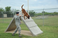 Senior Airman Clinton Patton, 902nd Security Forces Squadron military working dog handler, runs his military working dog Ccharles through the obstacle course at the wmd kennel at Joint Base San Antonio-Randolph, Texas, June 7. (U.S. Air Force photo by Rich McFadden) 