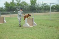 Senior Airman Clinton Patton, 902nd Security Forces Squadron military working dog handler, runs his military working dog Ccharles through hurdles at the obstacle course at the wmd kennel at Joint Base San Antonio-Randolph, Texas, June 7. (U.S. Air Force photo by Rich McFadden) 