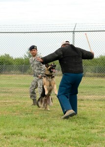 Tech. Sgt. Santiago Bernal, 902nd Security Forces Squadron working dog section NCO in charge, keeps a tight rein on military working dog Goro as he tries to attack Staff Sgt. Darrell Williams, 902nd military working dog trainer, during a training exercise at the mwd kennel at Joint Base San Antonio-Randolph, Texas, June 7. (U.S. Air Force photo by Melissa Peterson)