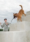 Senior Airman Clinton Patton, 902nd Security Forces Squadron military working dog handler, runs his military working dog Ccharles through stairs at the obstacle course at the wmd kennel at Joint Base San Antonio-Randolph, Texas, June 7. (U.S. Air Force photo by Melissa Peterson)