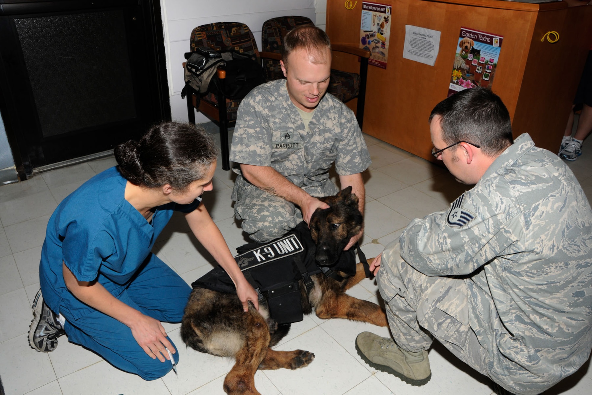 HANSCOM AIR FORCE BASE, Mass. - (left to right) Dr. Heather Mazzaccaro, veterinarian, Army Staff Sgt. Robert Parrott, veterinarian technician, and Staff Sgt. Richard Crotty, military working dog trainer, look over MWD Bret, a 6-year-old German Shepherd, prior to a dental procedure June 8. The 66th Security Forces Squadron, 66th Medical Squadron Dental Clinic and U.S. Army Veterinary Treatment Facility all worked together to prepare Bret for retirement. (U.S. Air Force photo by Linda LaBonte Britt)