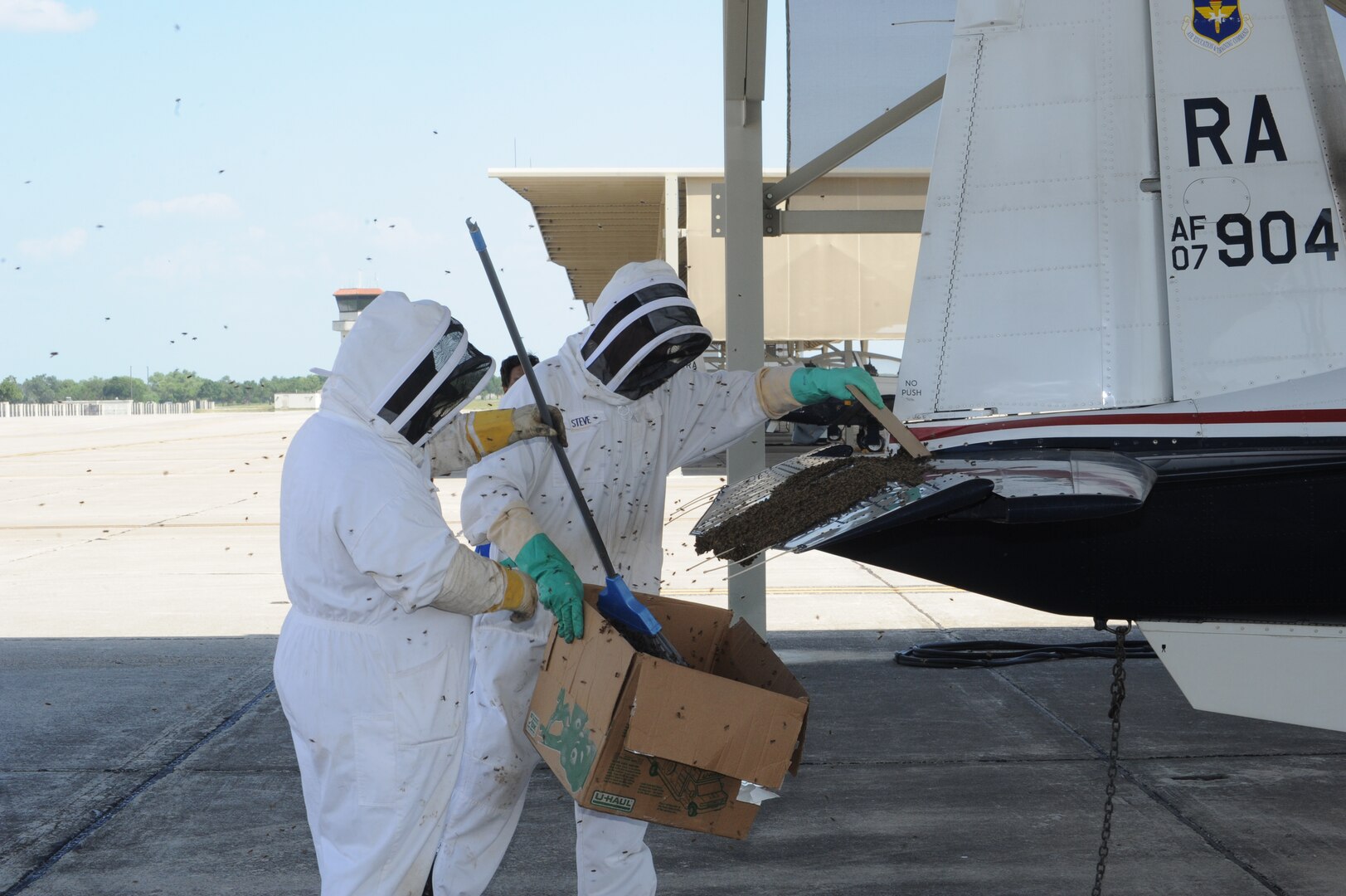 Steve Kelly (right) and Mike Lloyd, 902nd Civil Engineer Squadron entomology section, use cardboard and a broom to remove a swarm of bees on the flap of a T-6 Texan II aircraft on the flightline at Joint Base San Antonio-Randolph, Texas, June 13. (U.S. Air Force photo by Rich McFadden) 