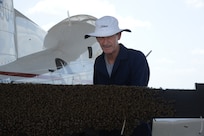 Steve Kelly, 902nd Civil Engineer Squadron entomology section, examines a swarm of bees on the flap of a T-6 Texan II aircraft on the flightline at Joint Base San Antonio-Randolph, Texas, June 13. (U.S. Air Force photo by Rich McFadden) 