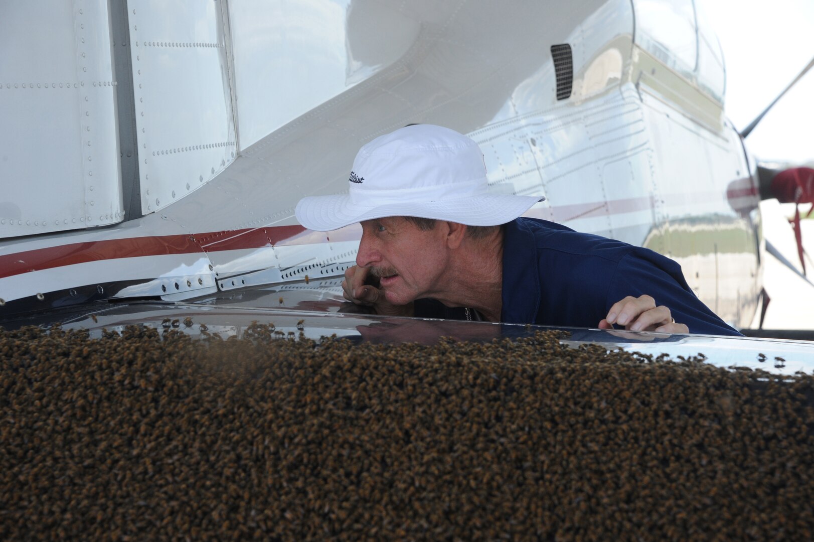 Steve Kelly, 902nd Civil Engineer Squadron entomology section, examines a swarm of bees on the flap of a T-6 Texan II aircraft on the flightline at Joint Base San Antonio-Randolph, Texas, June 13. (U.S. Air Force photo by Rich McFadden) 