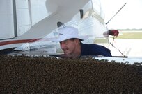 Steve Kelly, 902nd Civil Engineer Squadron entomology section, examines a swarm of bees on the flap of a T-6 Texan II aircraft on the flightline at Joint Base San Antonio-Randolph, Texas, June 13. (U.S. Air Force photo by Rich McFadden) 