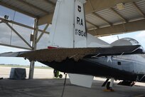 A swarm of bees make the flap of a T-6 Texan II aircraft their home on the flightline at Joint Base San Antonio-Randolph, Texas, June 13. (U.S. Air Force photo by Rich McFadden) 