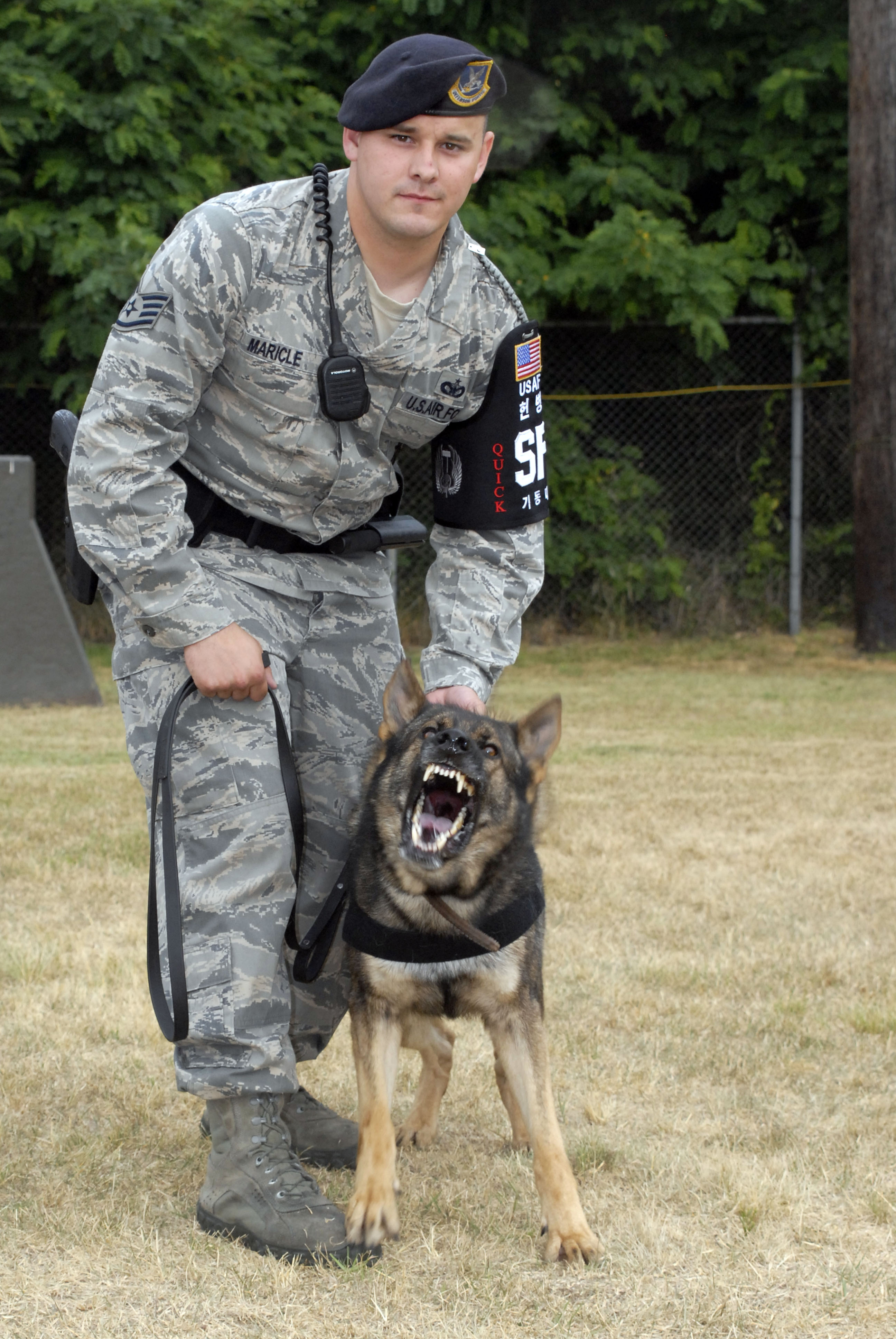 air force k9
