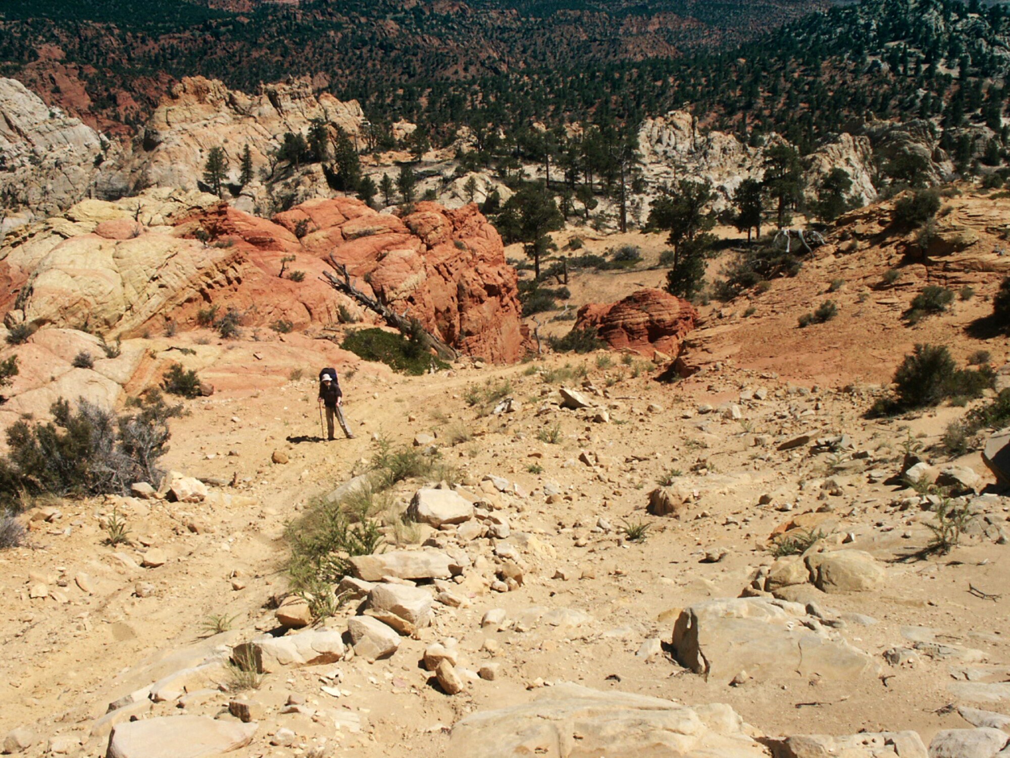 Jette Carr struggles up a mountain south of Bicknell, Utah, during a walk across the state, summer of 2003.  The hike was part of a trek spanning from the bottom to the top of Utah to each boarder – a journey that took 43 days and was nearly 700 miles long.  (Courtesy photo)