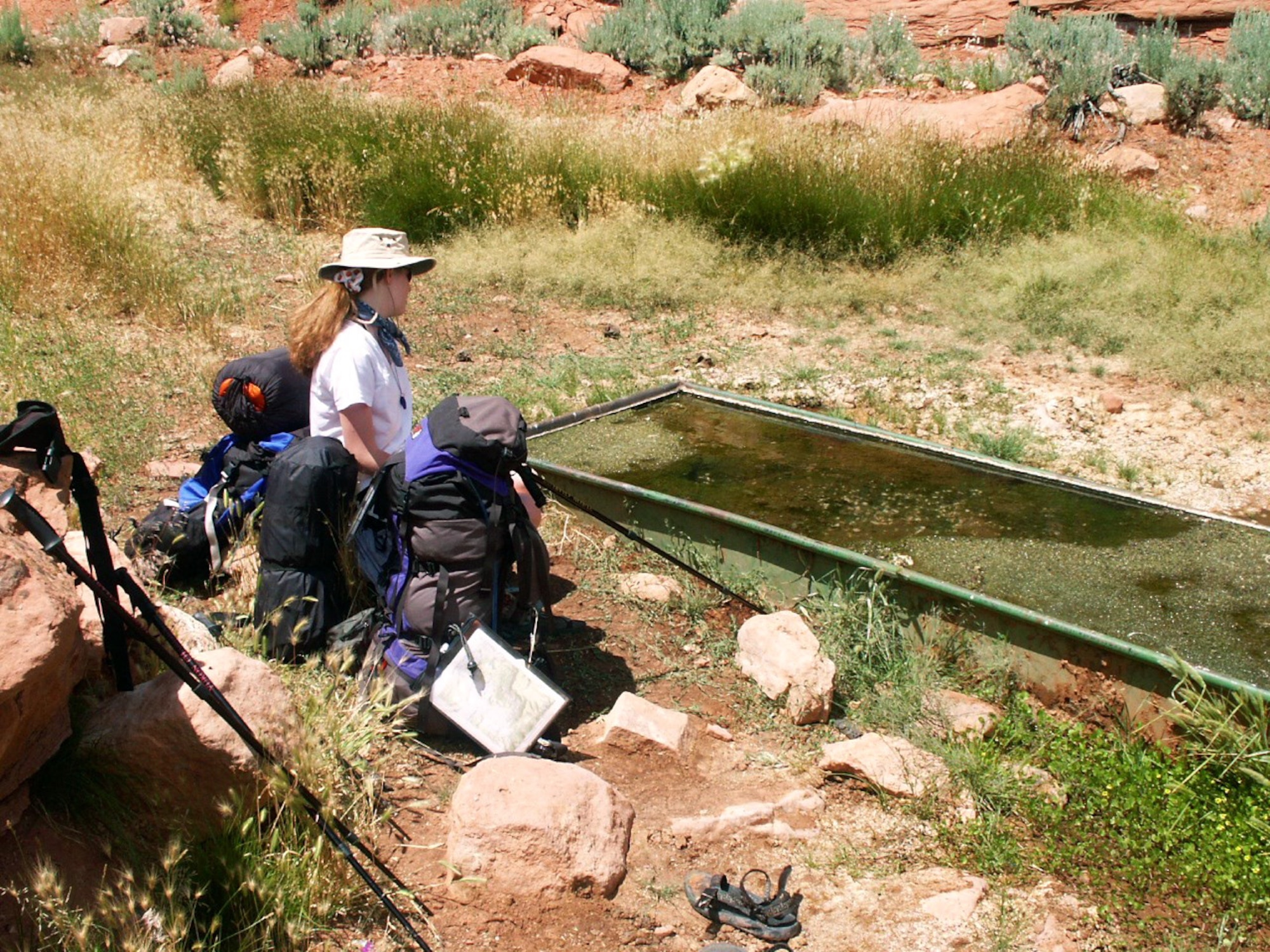 Jette Carr looks at a drinking water source about to be put though a pump to filter out dead bugs, algae, and other containments, during the second day of her walk across the state, summer of 2003.  The hike was part of a trek spanning from the bottom to the top of Utah to each boarder – a journey that took 43 days and was nearly 700 miles long.  (Courtesy photo)