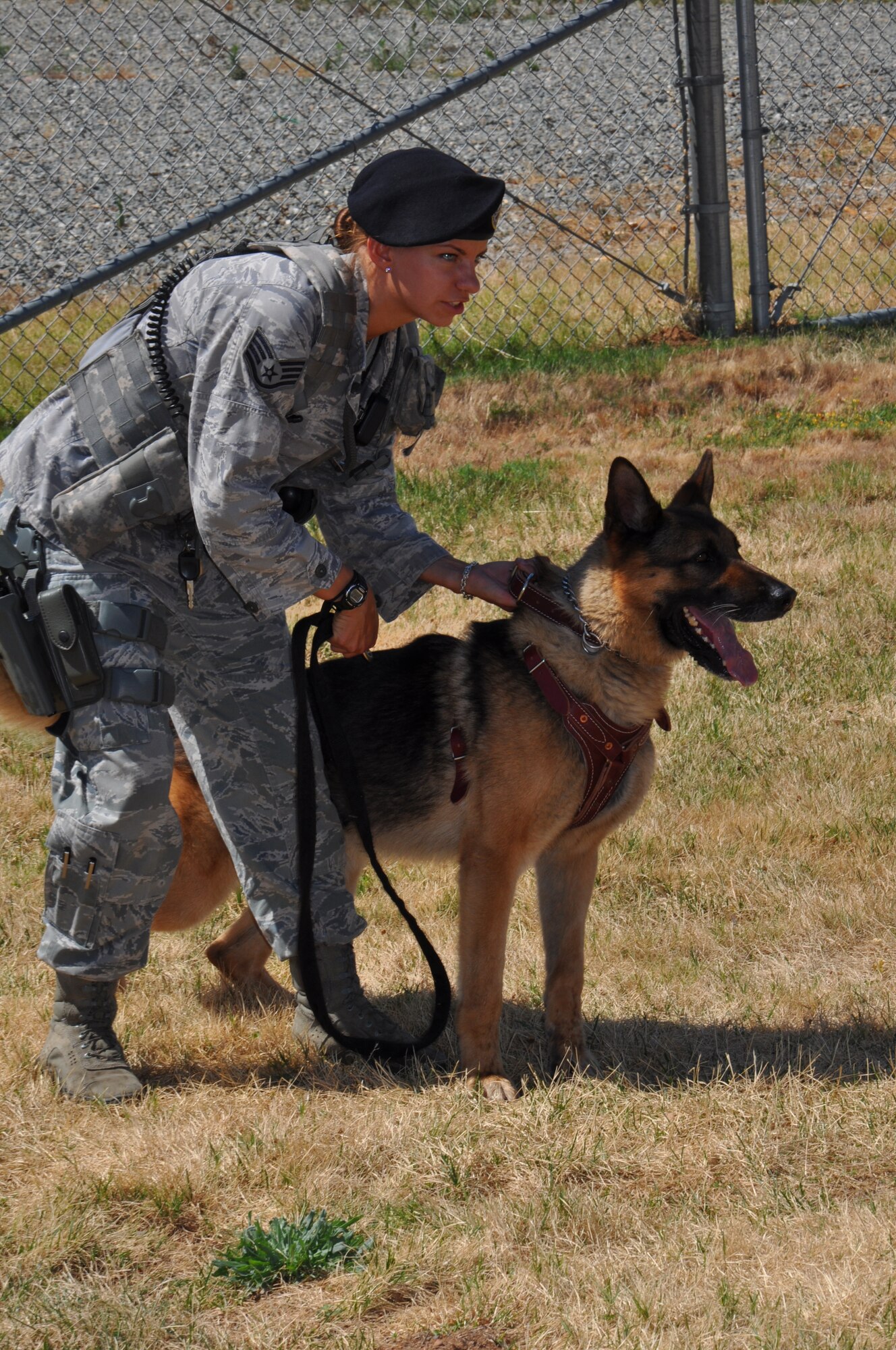 Staff Sgt. Julie Gibbs, 9th Security Forces military working dog handler, prepares to release Kanto, during a training scenario at Beale Air Force Base Calif., June 12, 2012. MWDs use their keen sense of smell to search vehicles and buildings. (U.S. Air Force photo by Staff Sgt. Robert M. Trujillo/Released) 