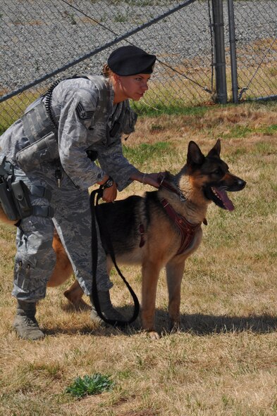 U.S. Air Force Staff Sgt. Julie Gibbs, 9th Security Forces military working dog handler, prepares to release Kanto, during a training scenario at Beale Air Force Base Calif., June 14, 2012. MWDs use their keen sense of smell to search vehicles and buildings. (U.S. Air Force photo by Staff Sgt. Robert M. Trujillo/Released) 

