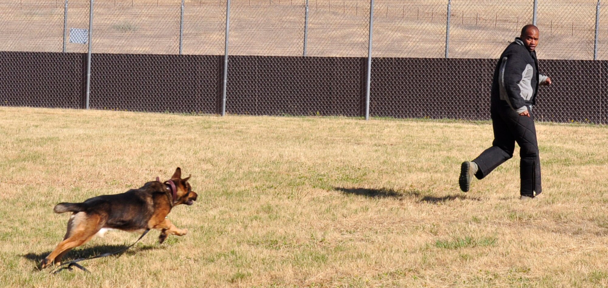 Staff Sgt. Kenneth Houston, 9th Security Forces Squadron military working dog handler, tries to evade a K-9 during a training scenario at Beale Air Force Base, Calif., June 12, 2012. Handlers routinely conduct scenario training to recognize what they may encounter in the field. (Courtesy photo by Noelle Hoffman)