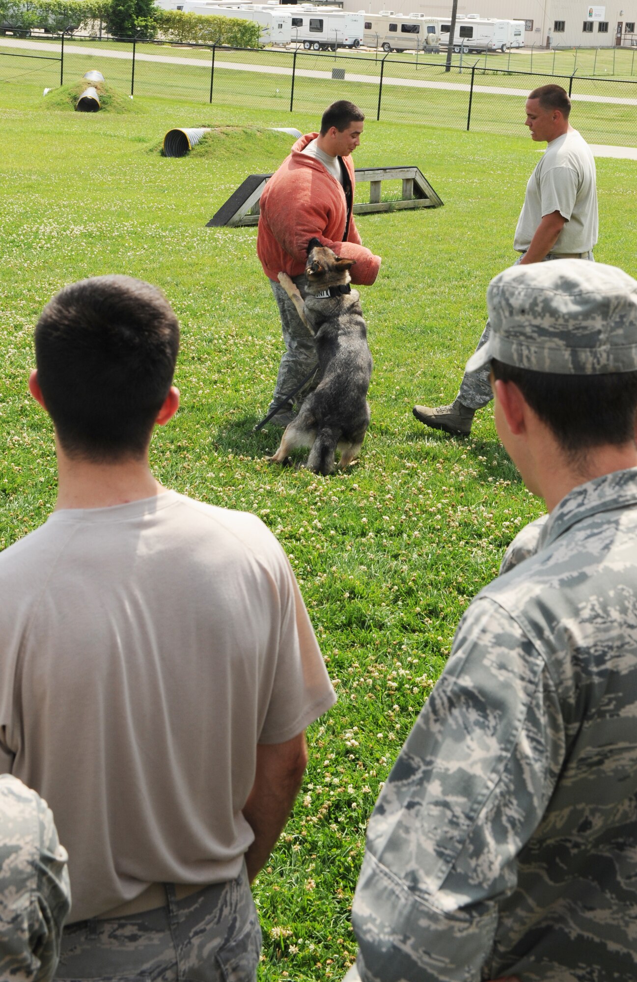 U.S. Air Force Academy Cadet 2nd Class Matthew Jones receives a “bite” from military working dog Andor June 7, 2012. McConnell Air Force Base, Kan. Eleven cadets from the Academy are visiting McConnell as part of Operation Air Force, a program that sends cadets to bases during the summer break to learn about the operational Air Force. (U.S. Air Force photo/Airman 1st Class Katrina M. Brisbin) 