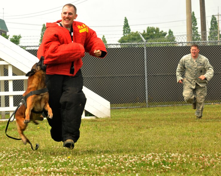 Tech. Sgt. Patrick Schue, right, 8th Security Forces Squadron military working dog handler, and Maj. Michael Evans, 8th Logistics Readiness Squadron commander, perform a training exercise with one of the military working dogs at Kunsan Air Base, Republic of Korea, June 15, 2012. Snyder shows that just running away from the MWD isn't enough to escape its speed and powerful jaws. (U.S. Air Force photo/Senior Airman Marcus Morris)